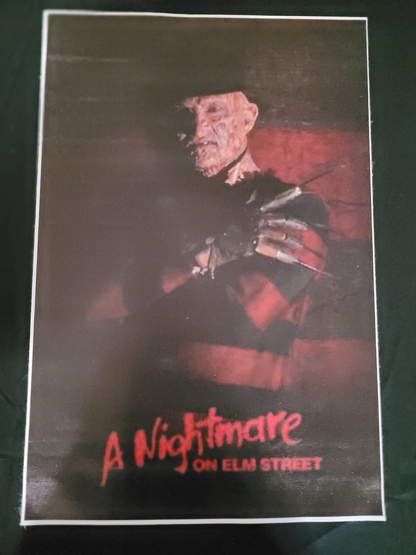 Freddy Canvas Print
